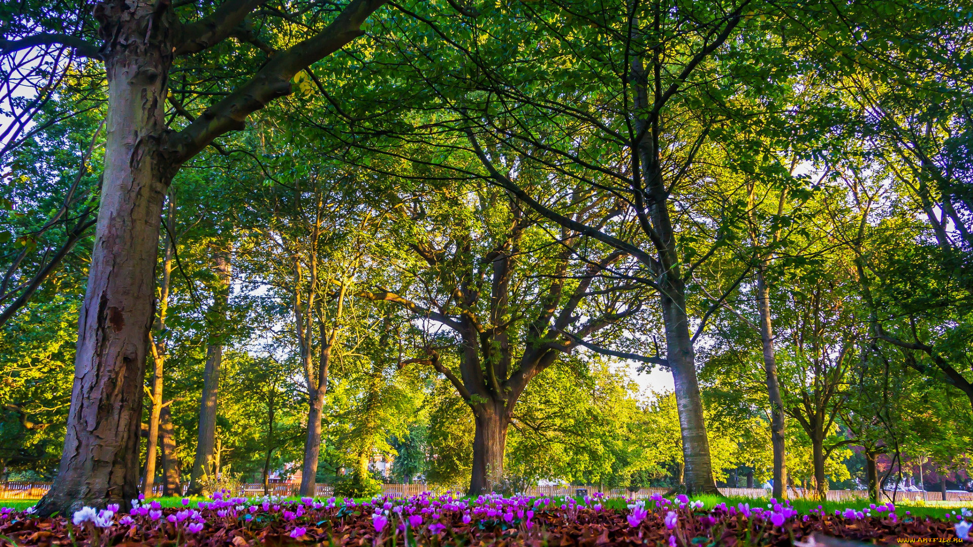 london, england, , 